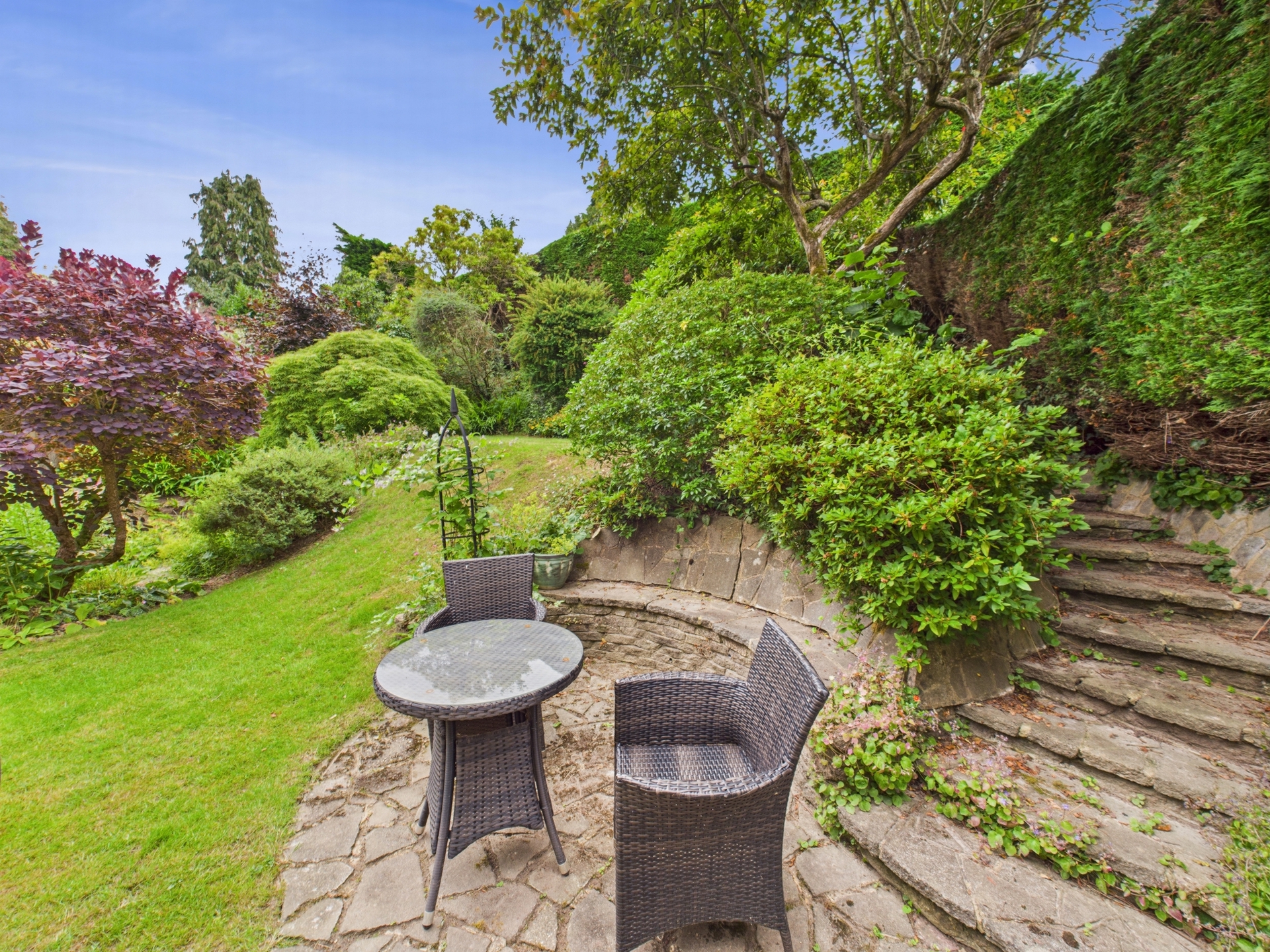 rear garden 4