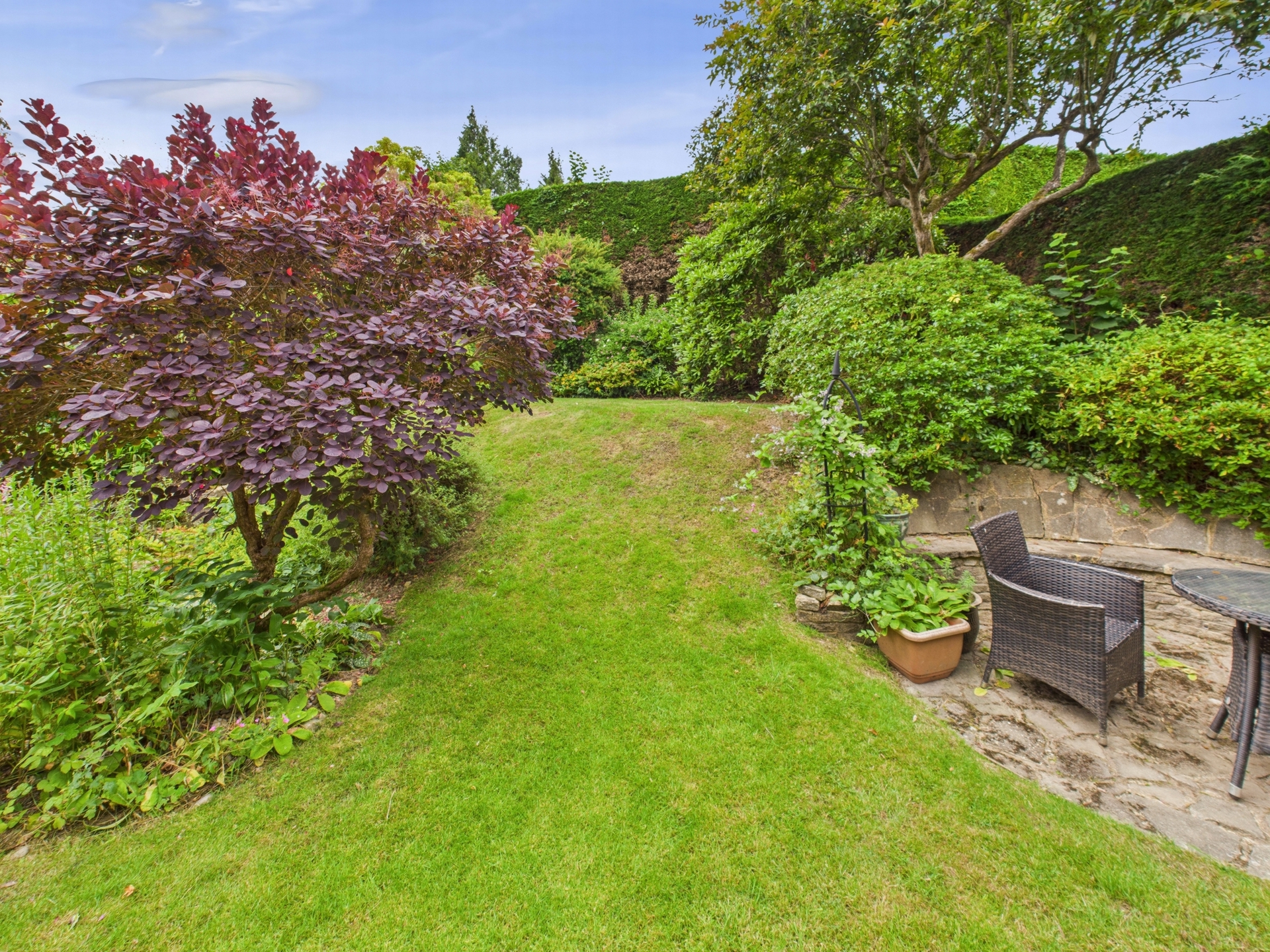 Rear garden 5