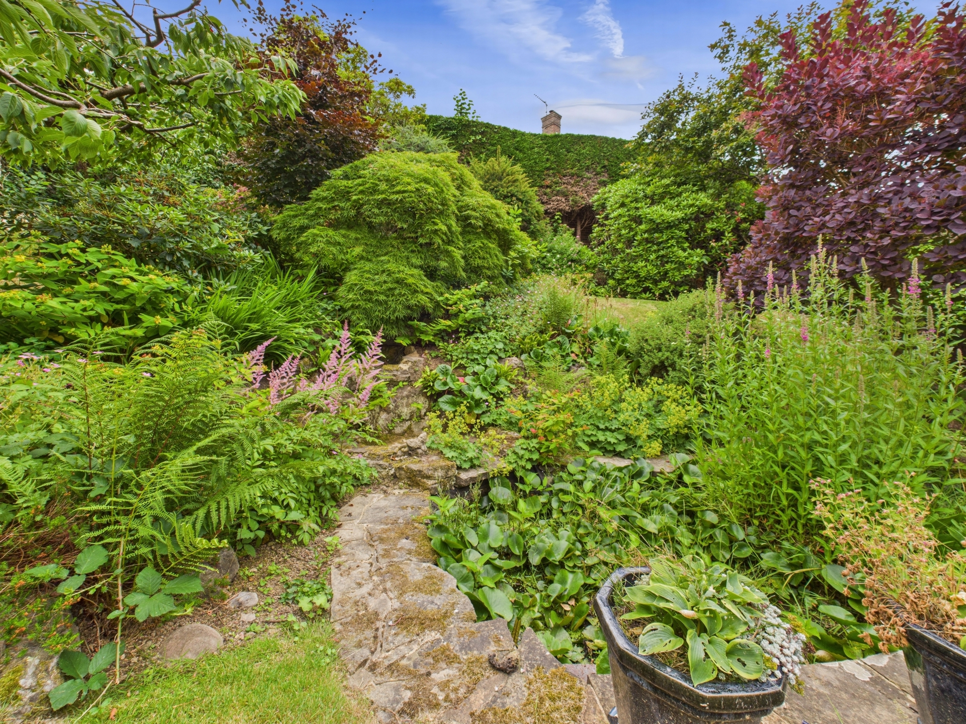 Rear garden 6