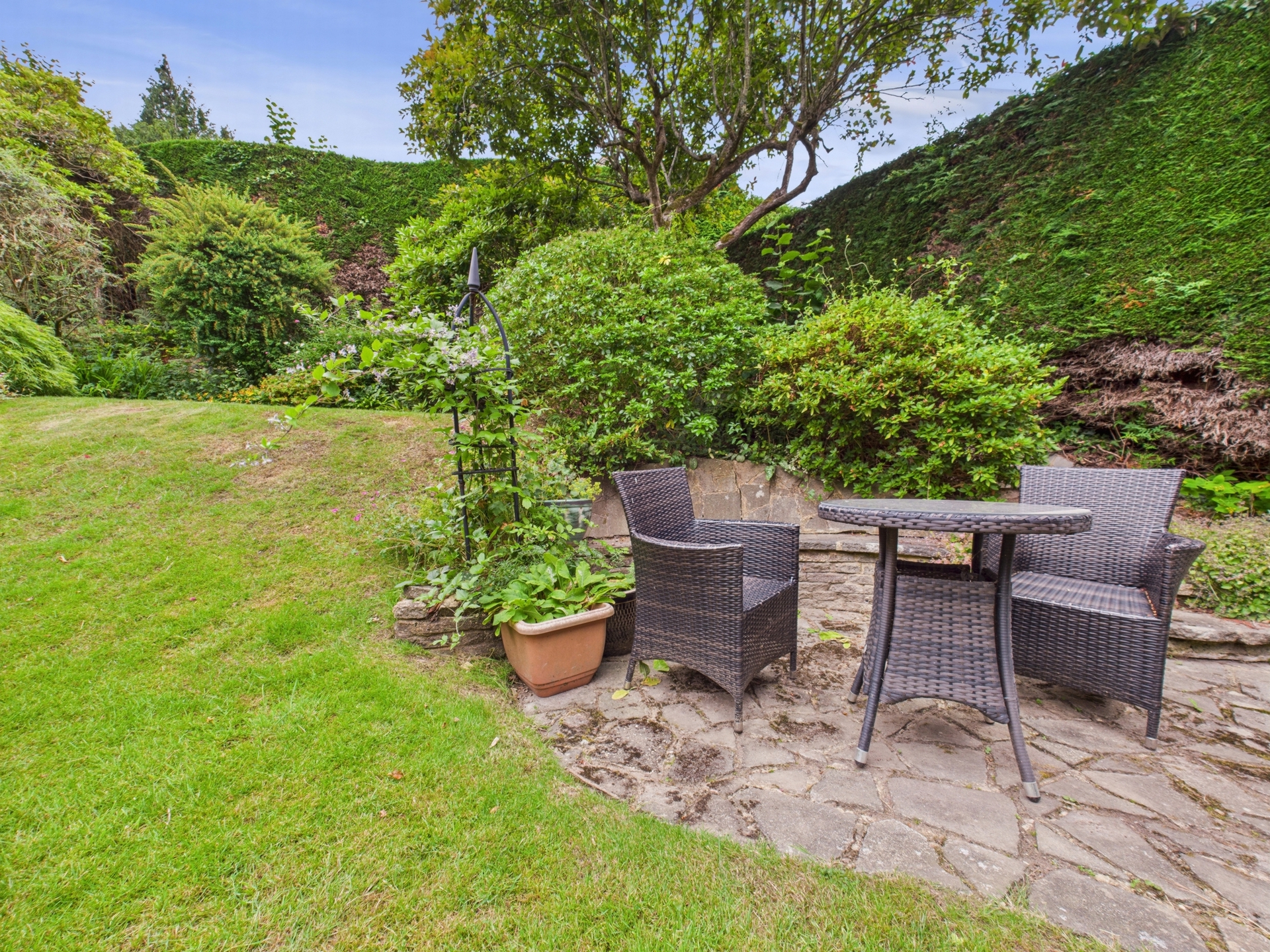 Rear garden 7