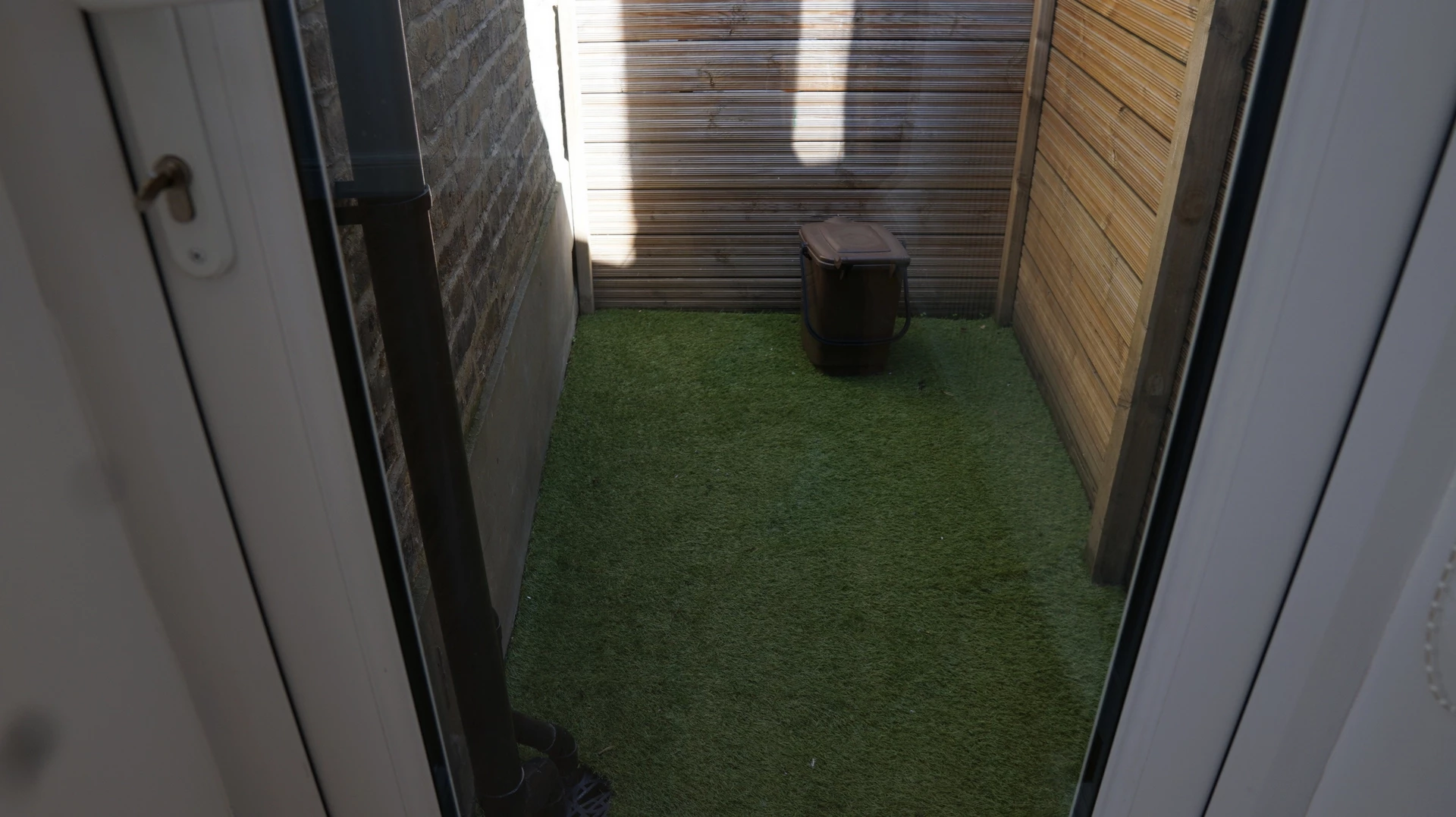 Photo 5