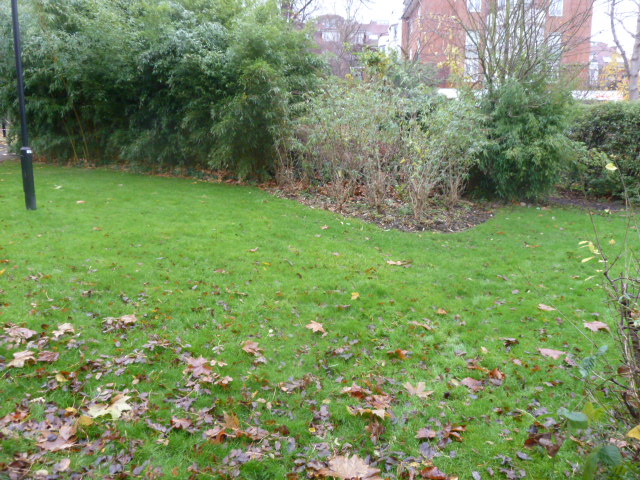 Photo 9