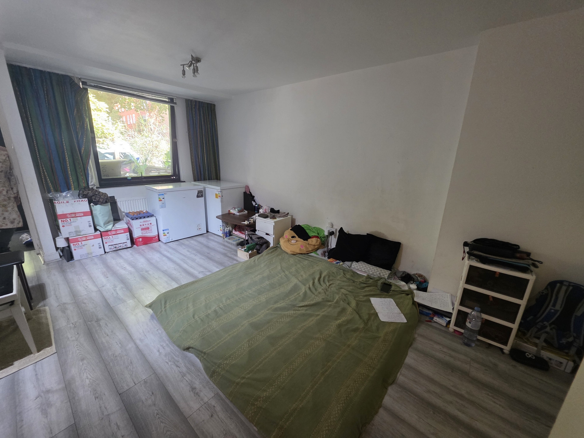 Photo 5