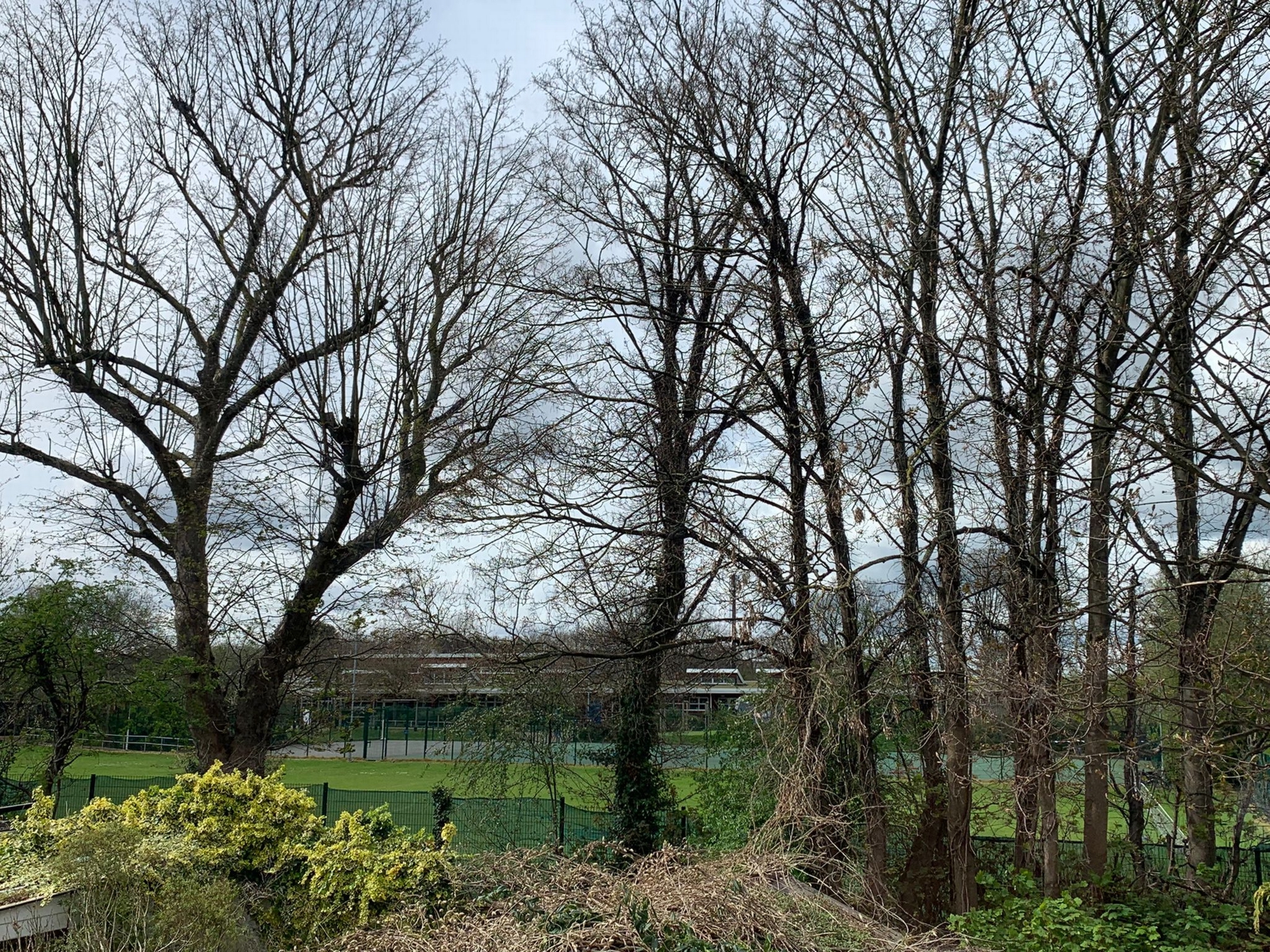 Photo 19