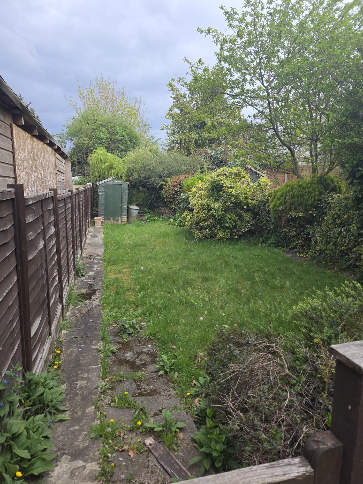 Photo 11