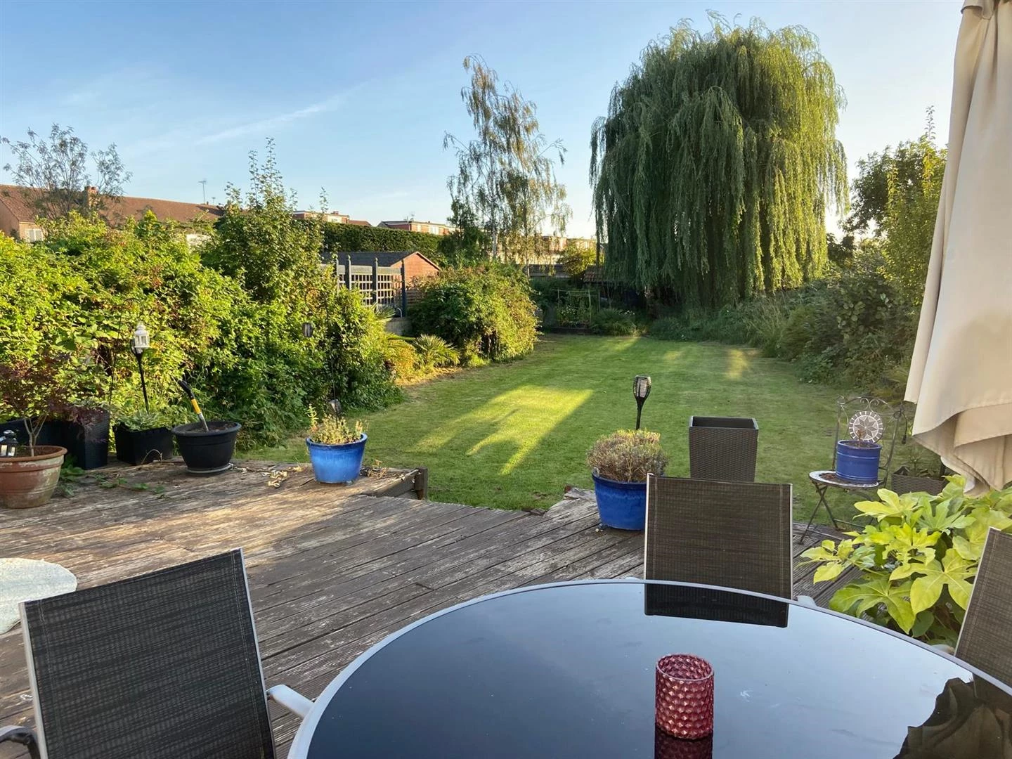 Middleton Close Summer Garden Pic.jpg