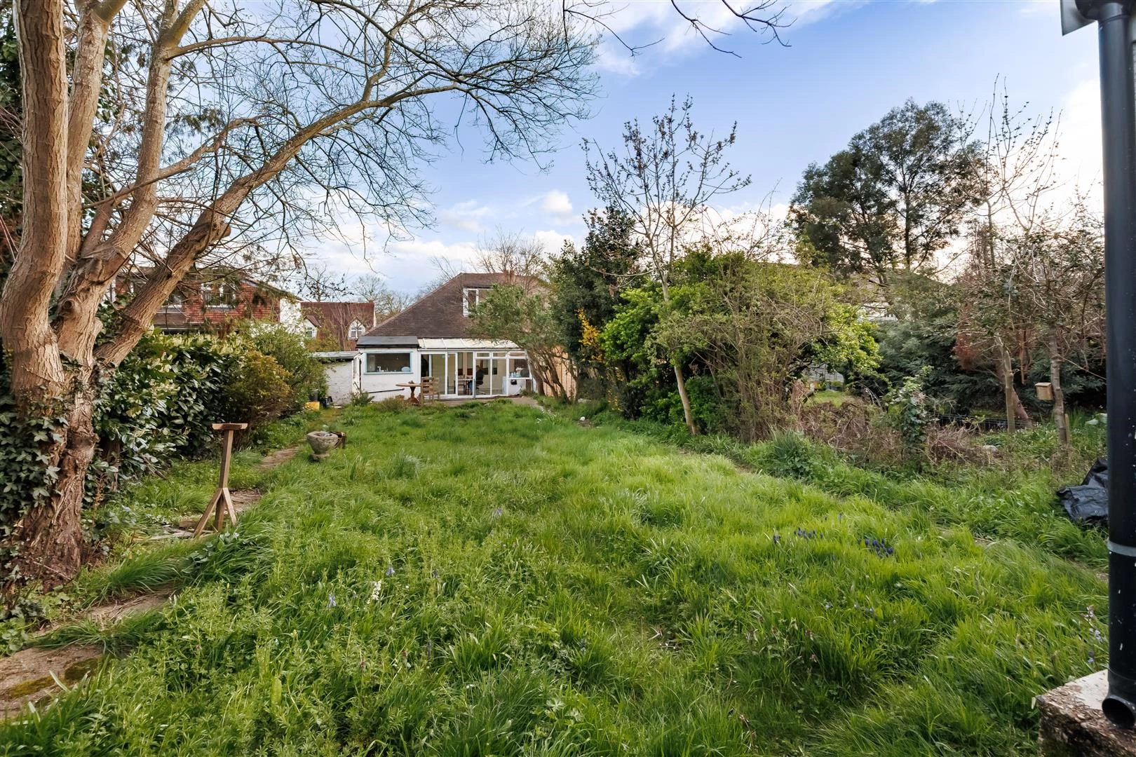 chingford ave (20).jpg