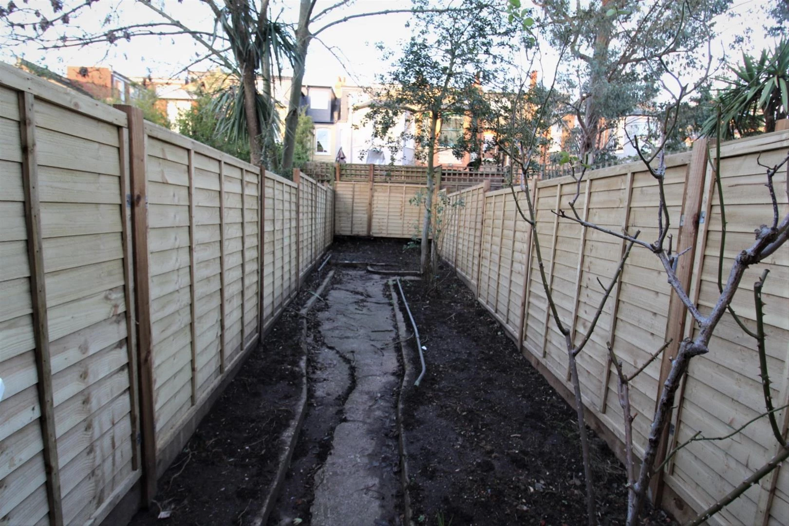 garden.jpg