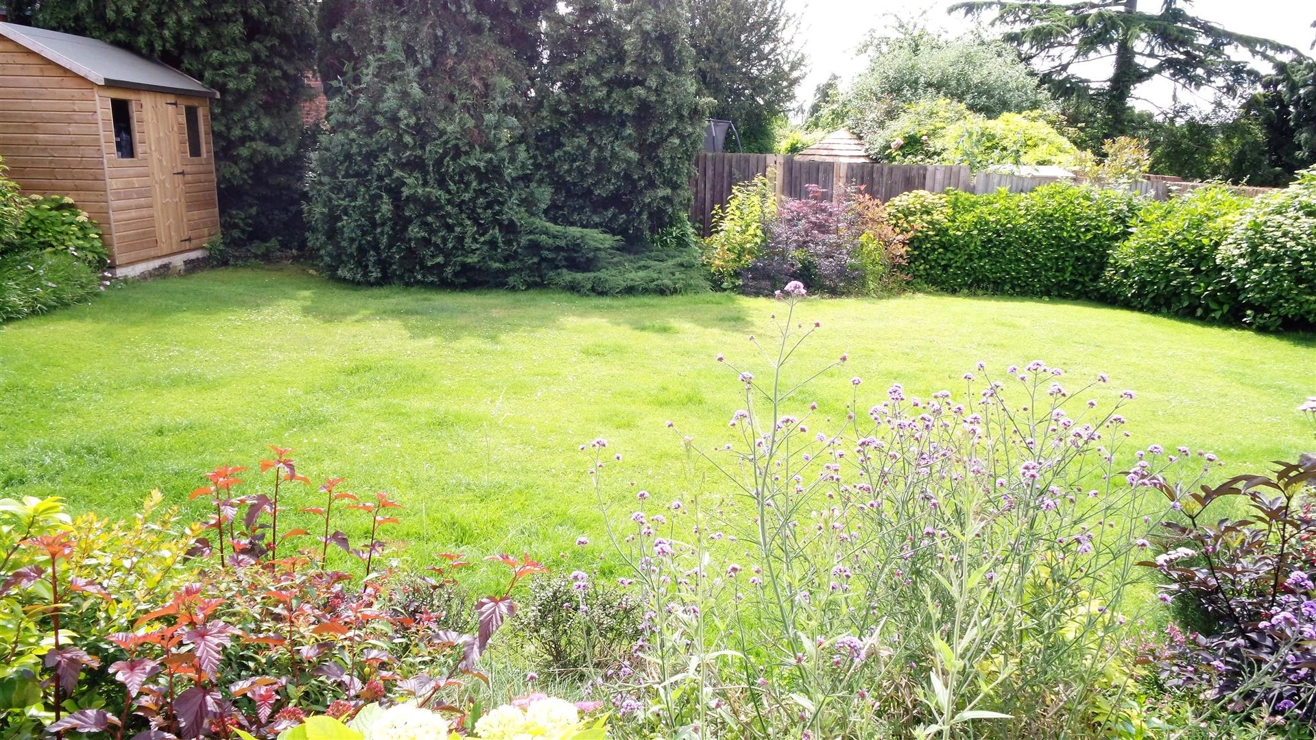 Photo 19