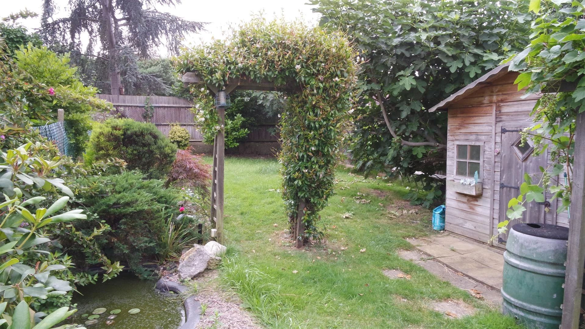 Photo 13