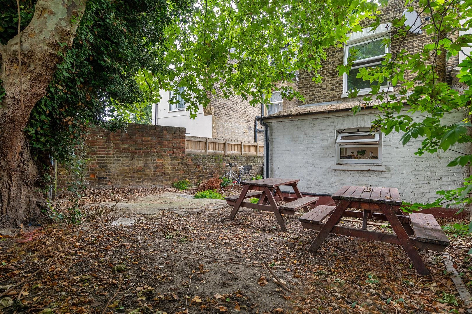 Garden 3.jpg