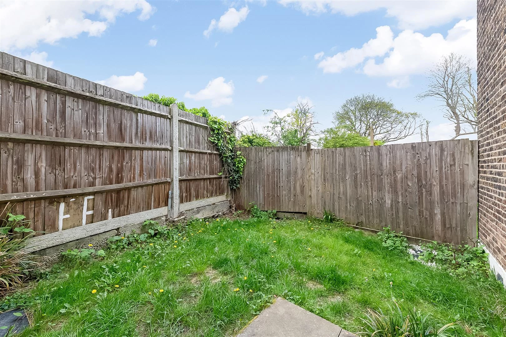 IMG_4628.jpg