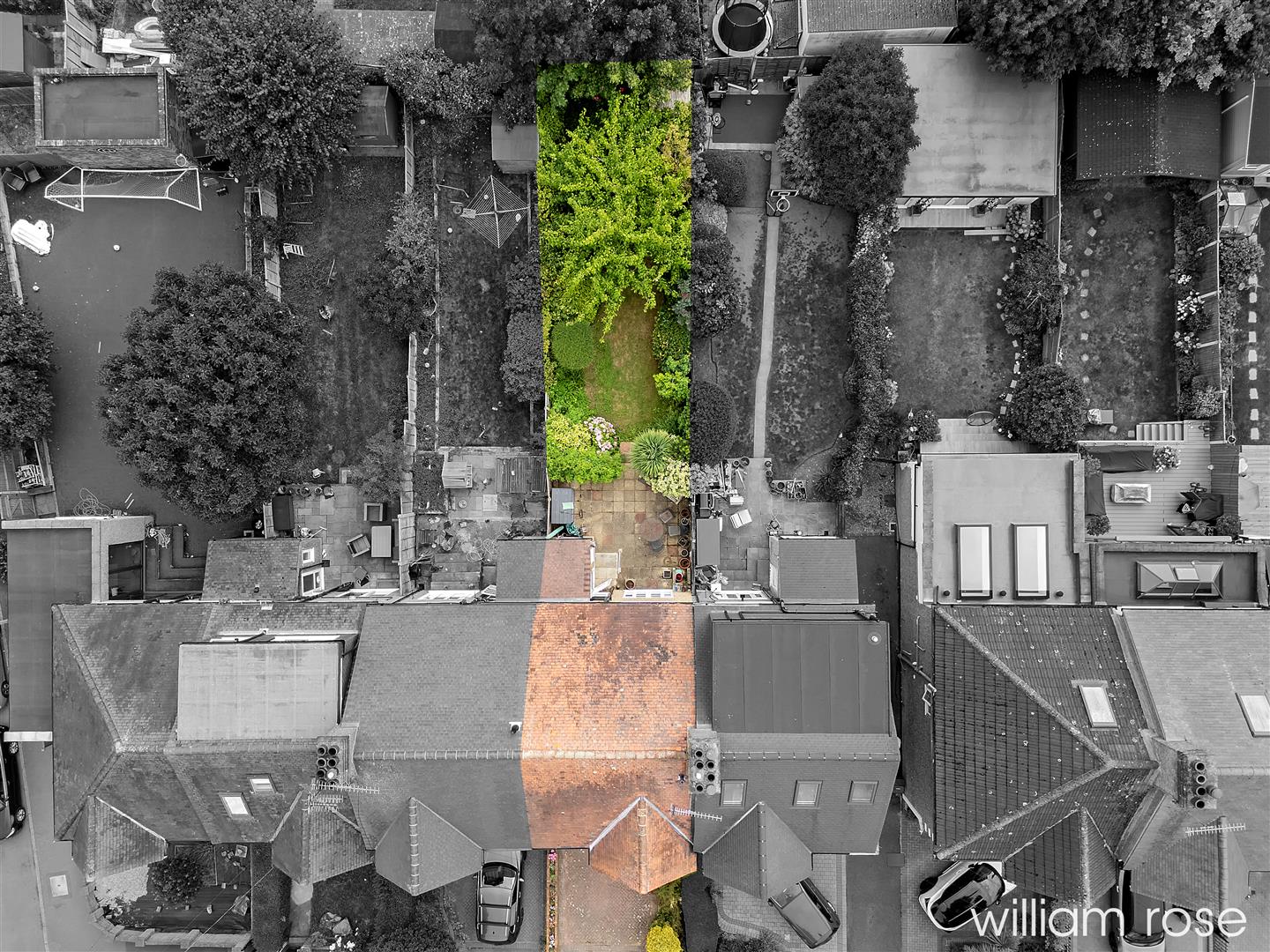 dji_20250729115451_0164_d copy - copy.jpg