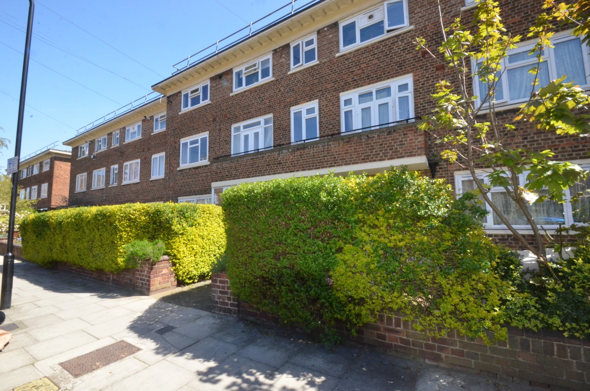 Forest Grove London E8