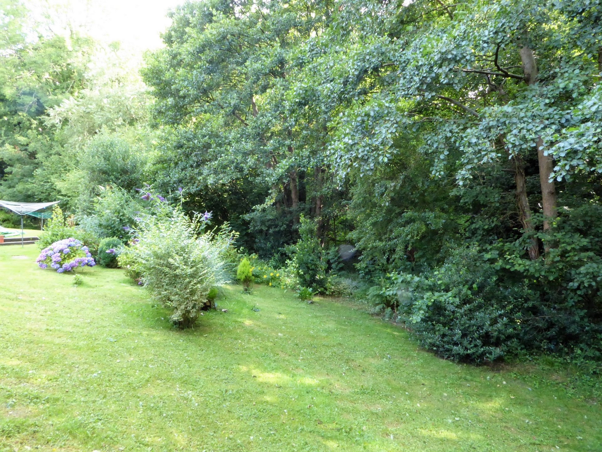 Communal Gardens
