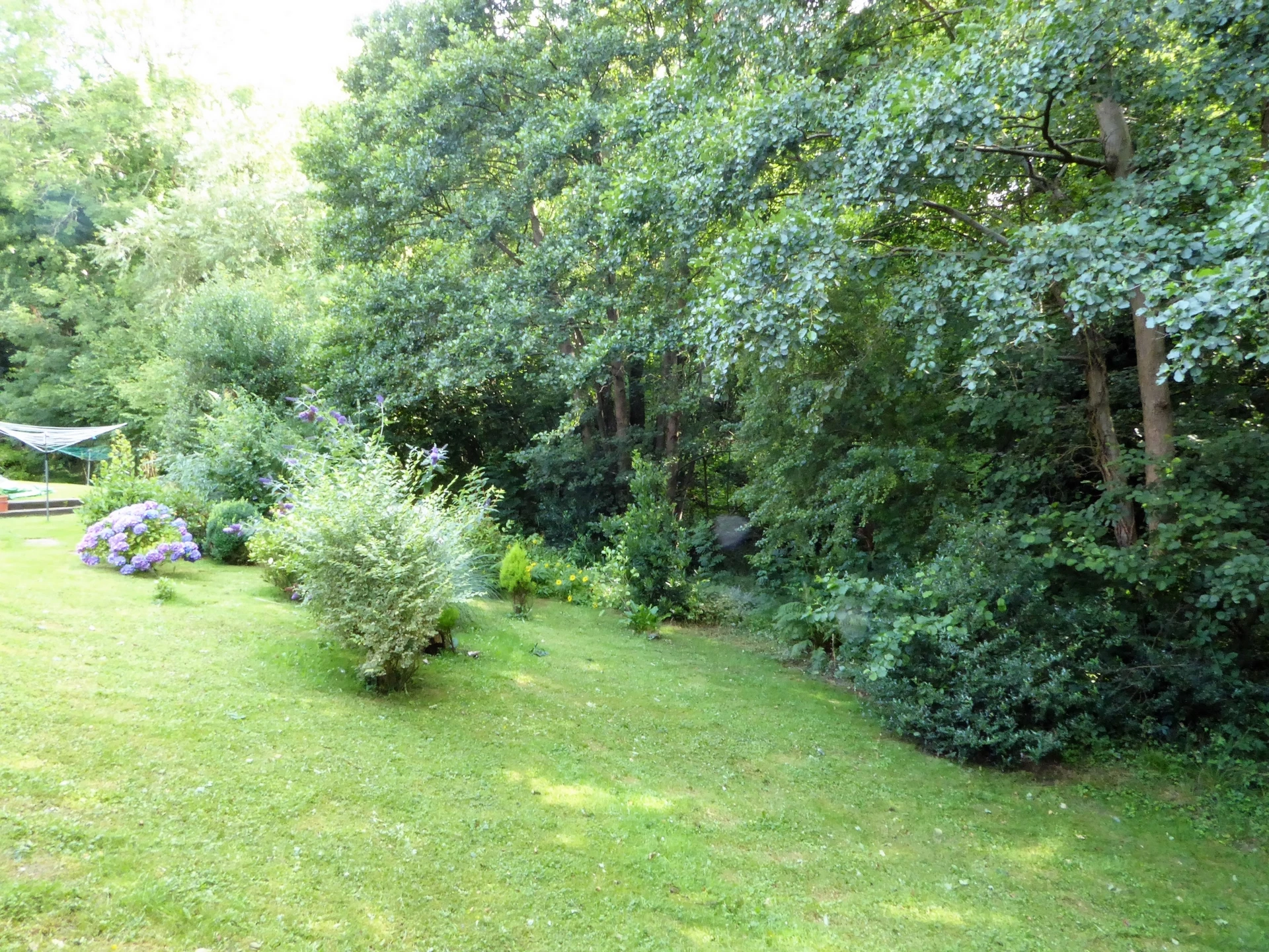Communal Gardens