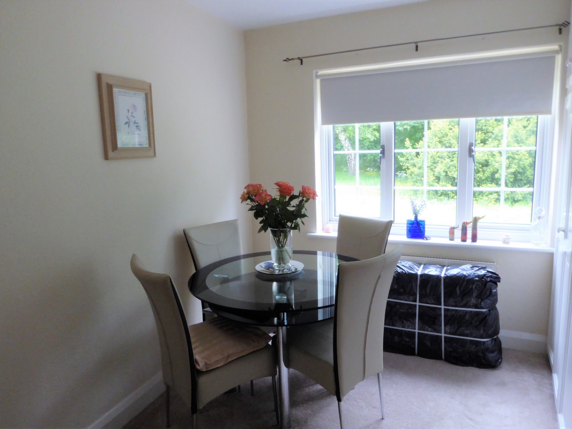 Dining room / office