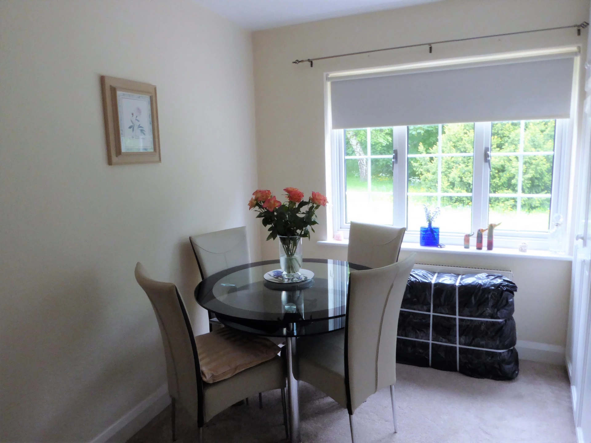 Dining room / office