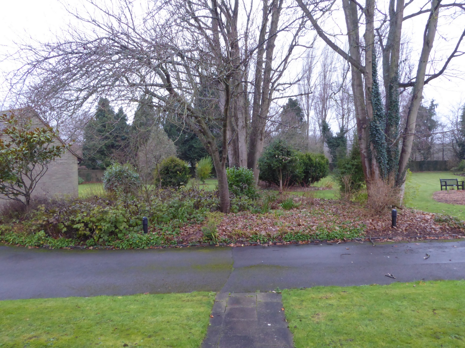 View from back door