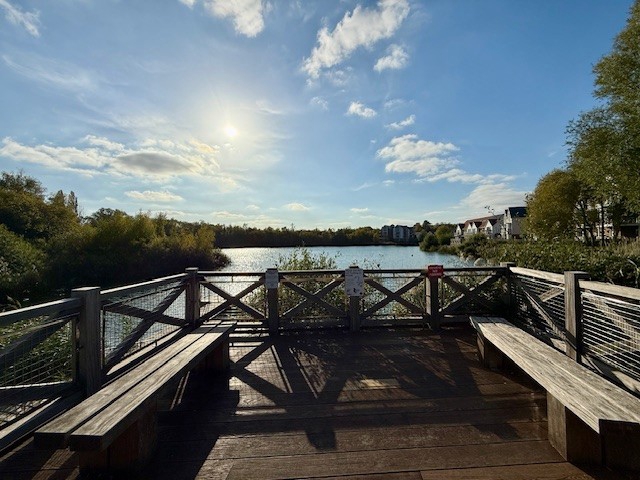 Photo 24