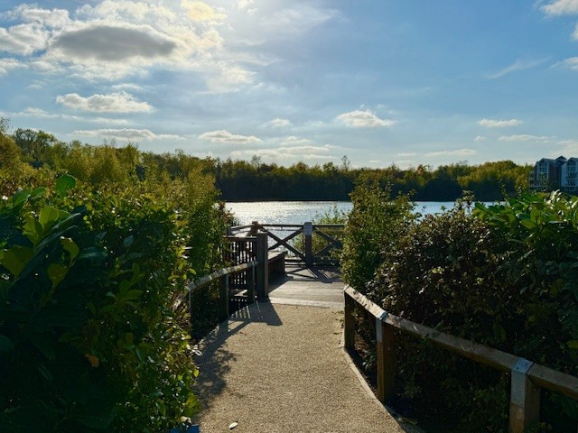 Photo 22