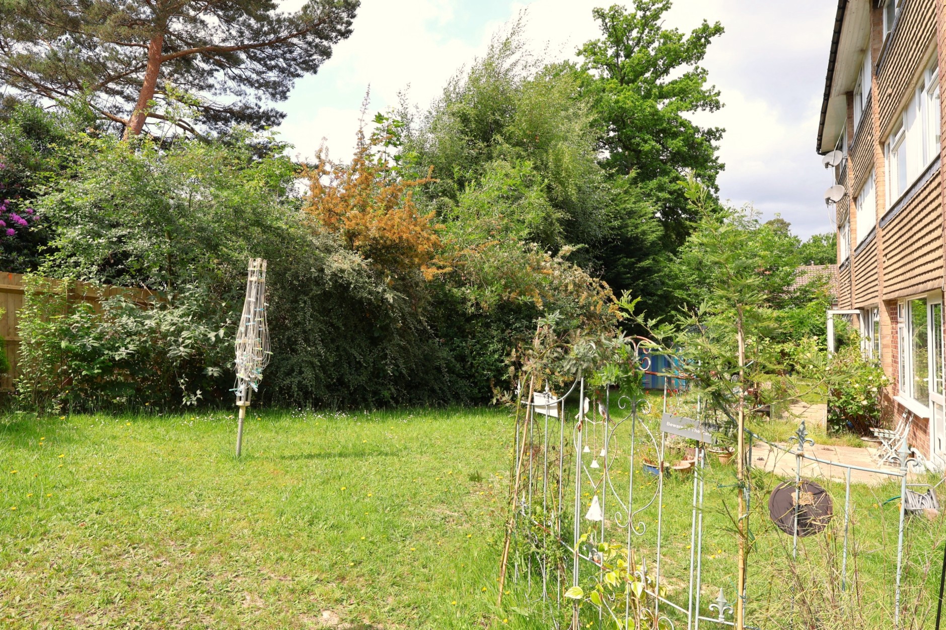 Photo 5