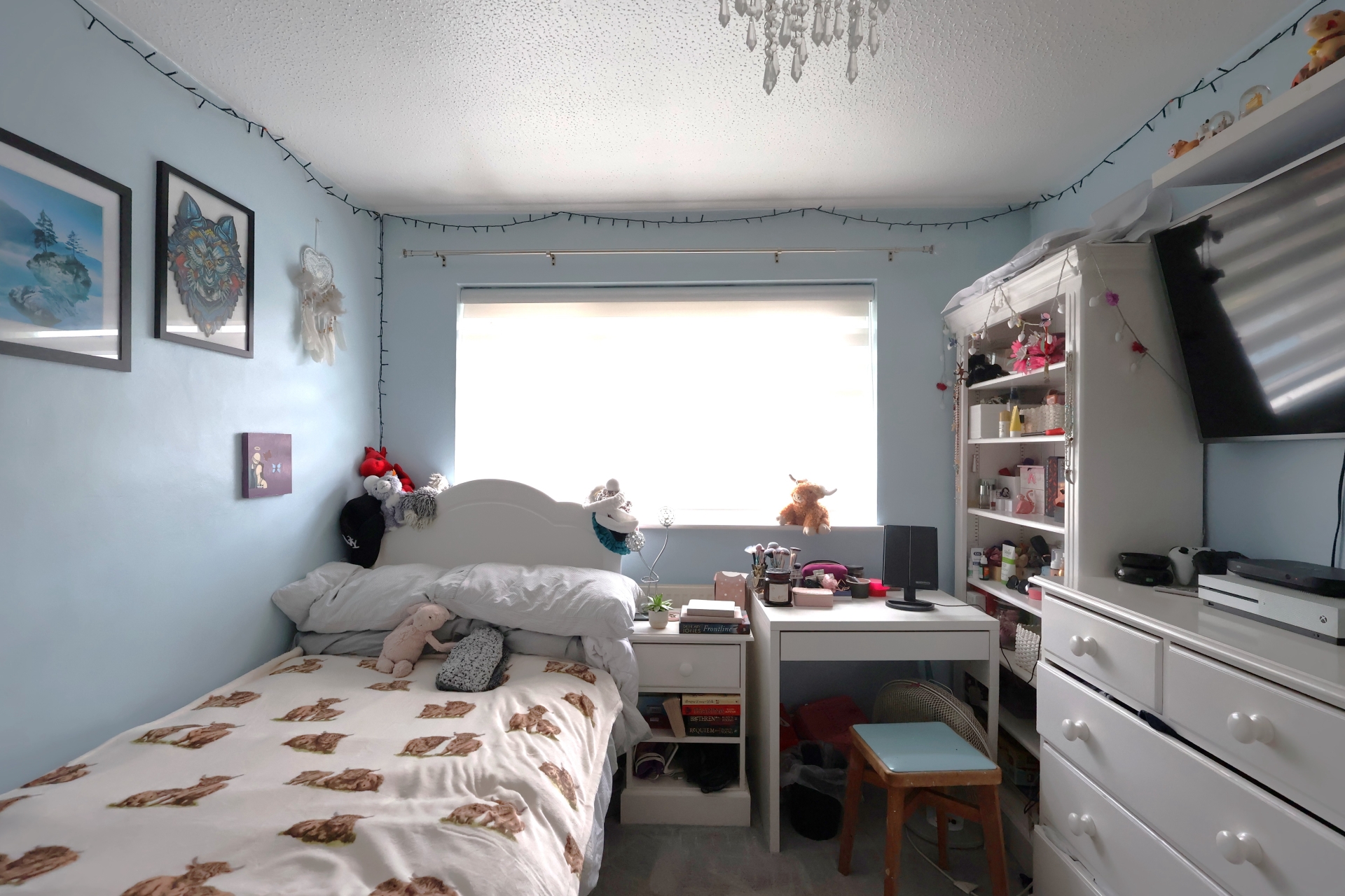 Photo 4