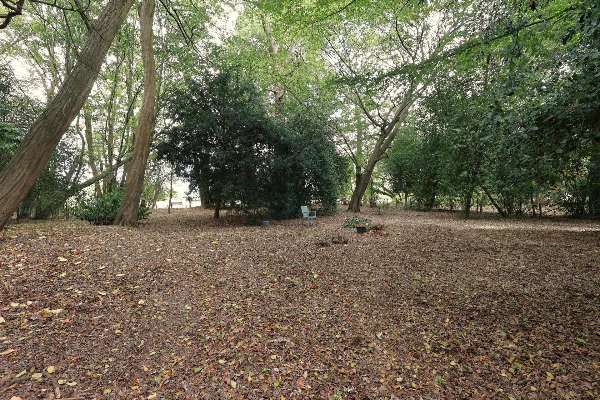 Photo 32