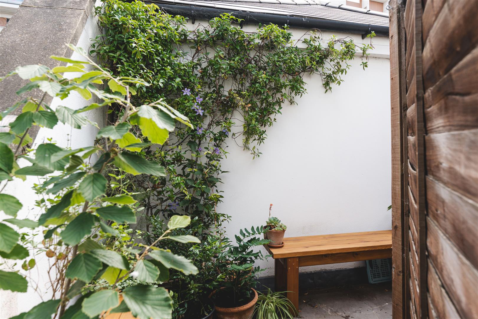 Kingsland High Road-23.jpg