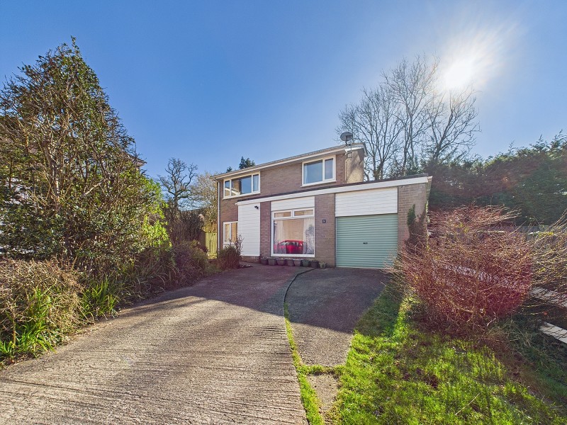 Driveway & Front Garden