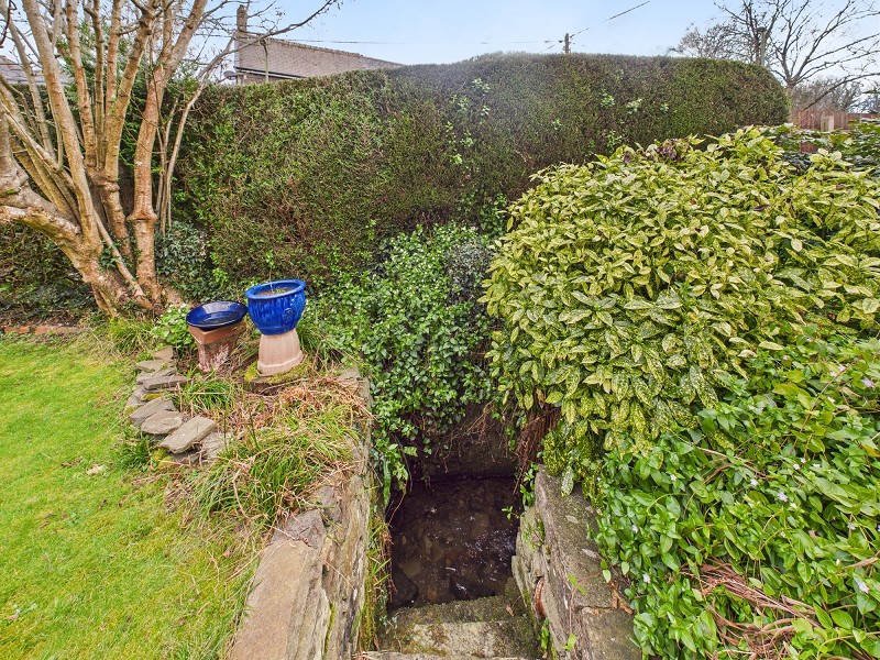 Side Garden