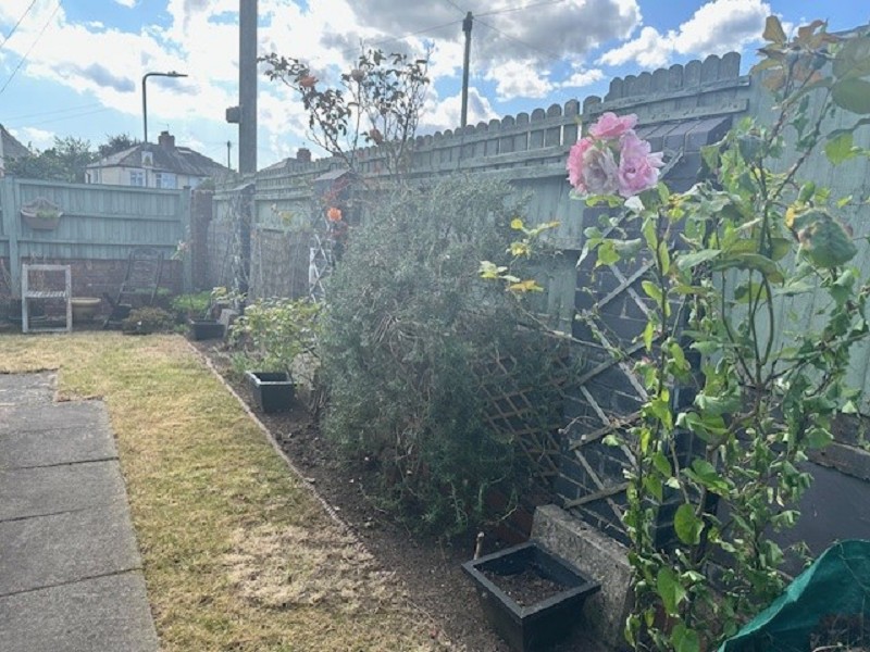 Side Garden