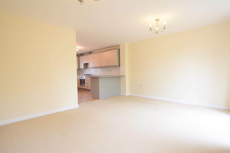 Family Room/Kitchen