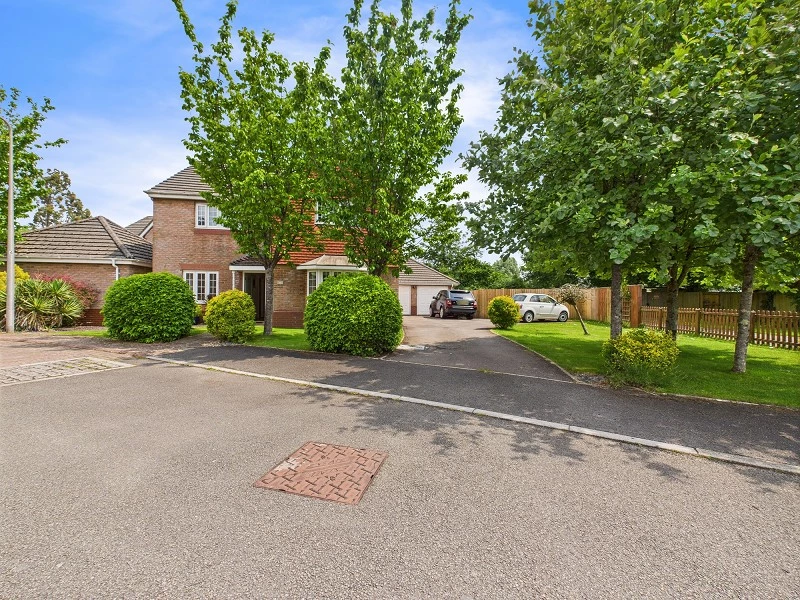 Driveway & Front Entrance