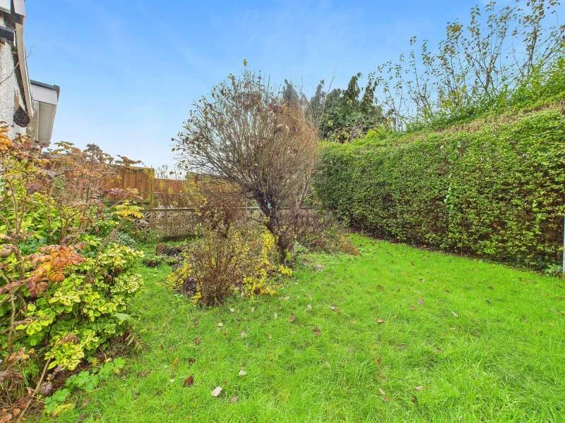 Rear Garden Second Angle