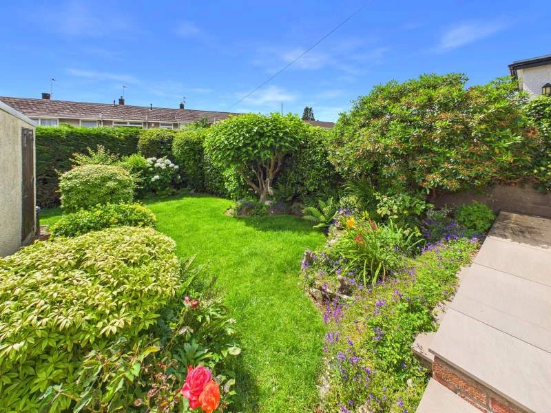 Garden 2