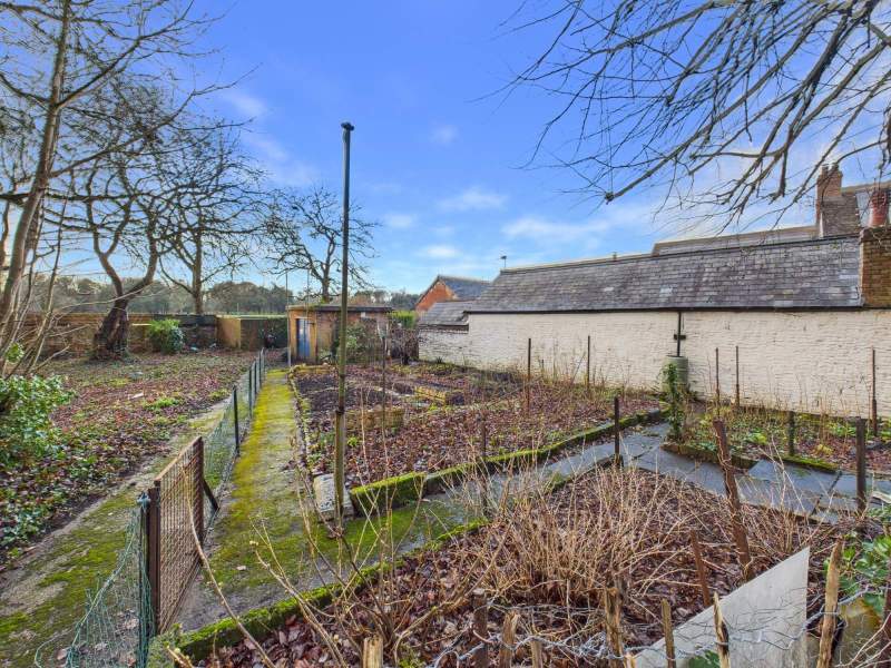 Kitchen Garden