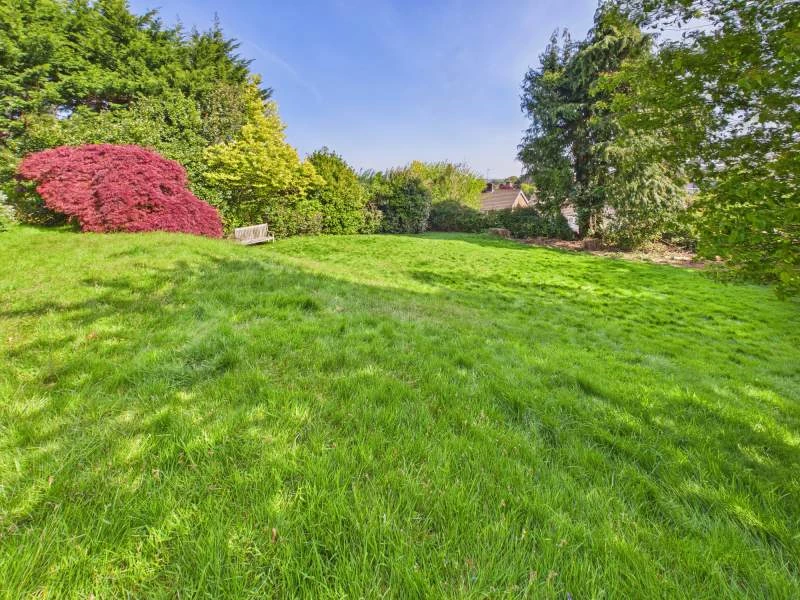 Communal Garden