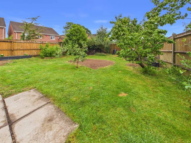 Garden 2