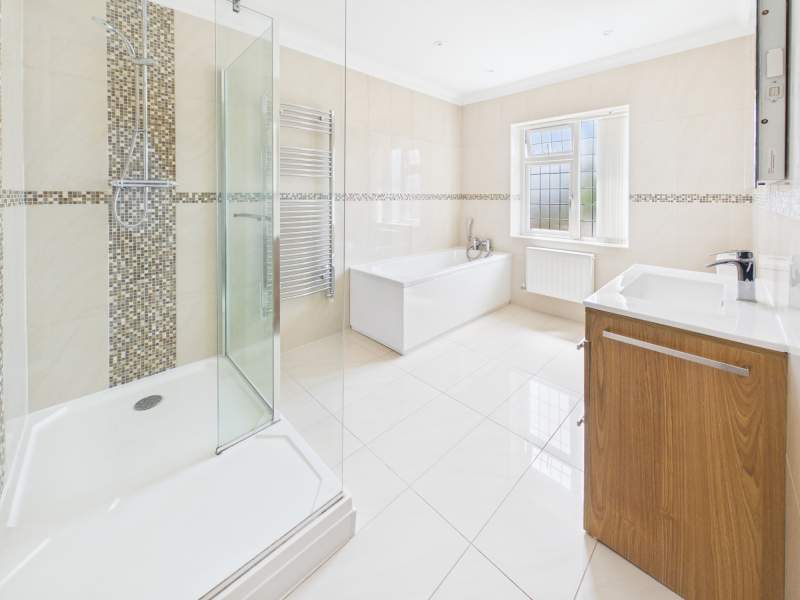 Family bath/shower room