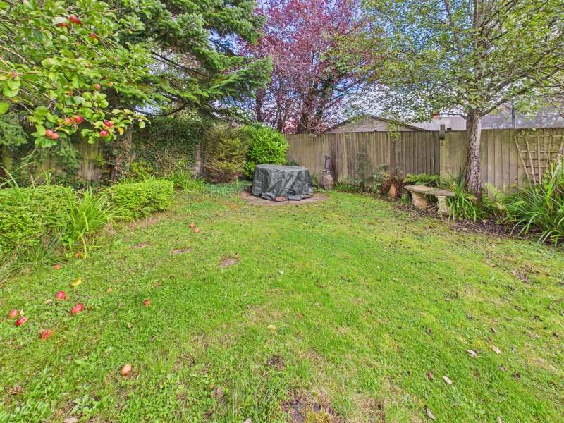 Rear Garden 3