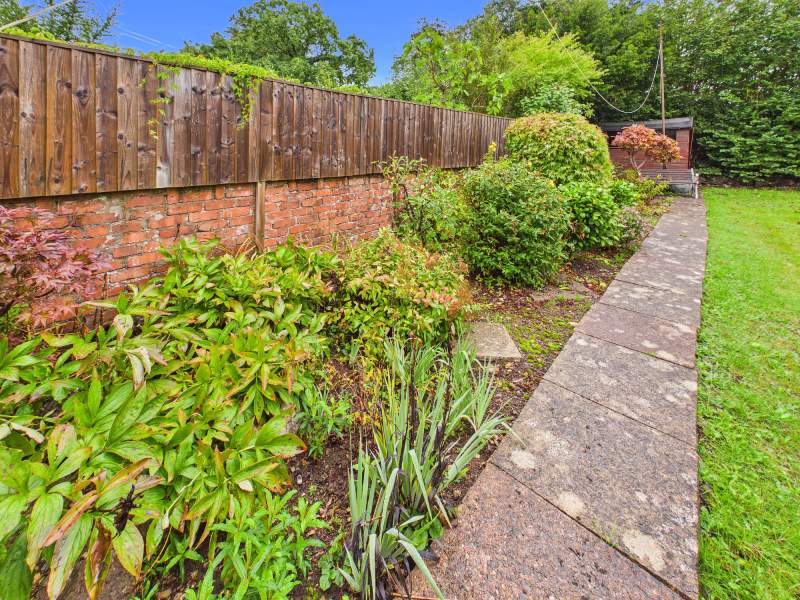 Vegetable Patch