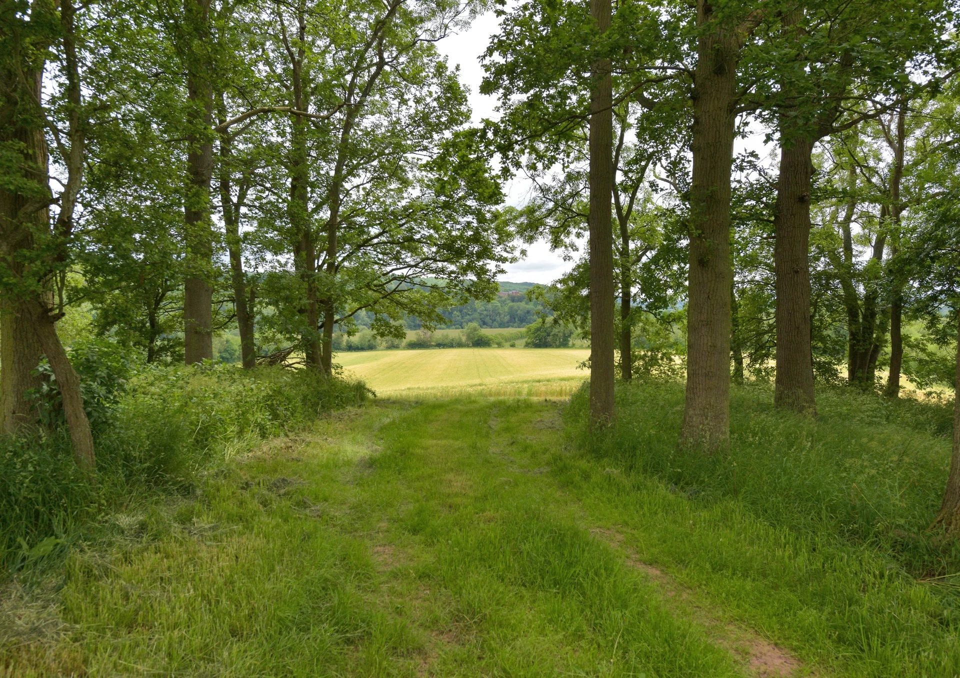 Photo 25