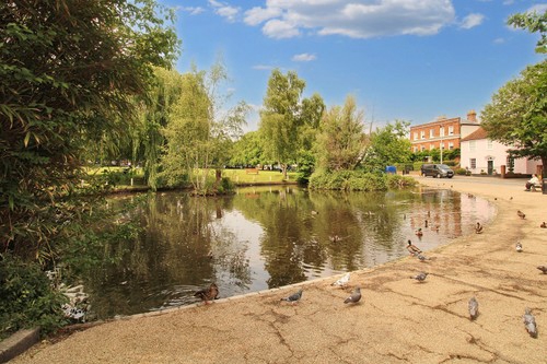 Photo 40