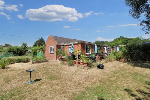Photo 11