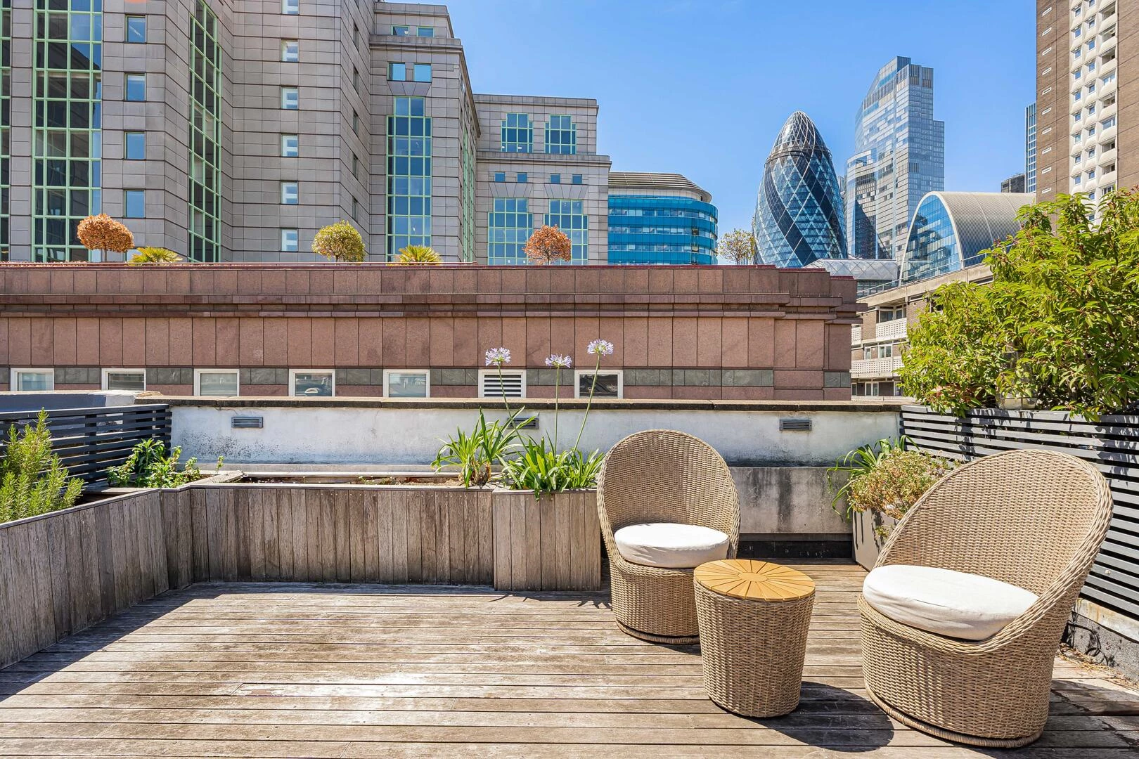 Terrace / Patio