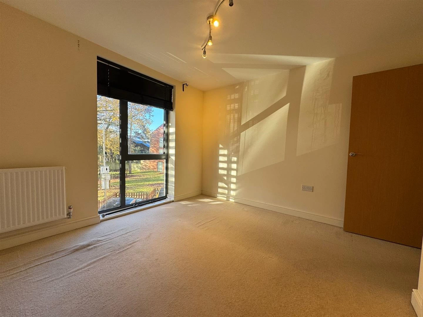 WhatsApp Image 2025-12-03 at 12.34.53.jpeg