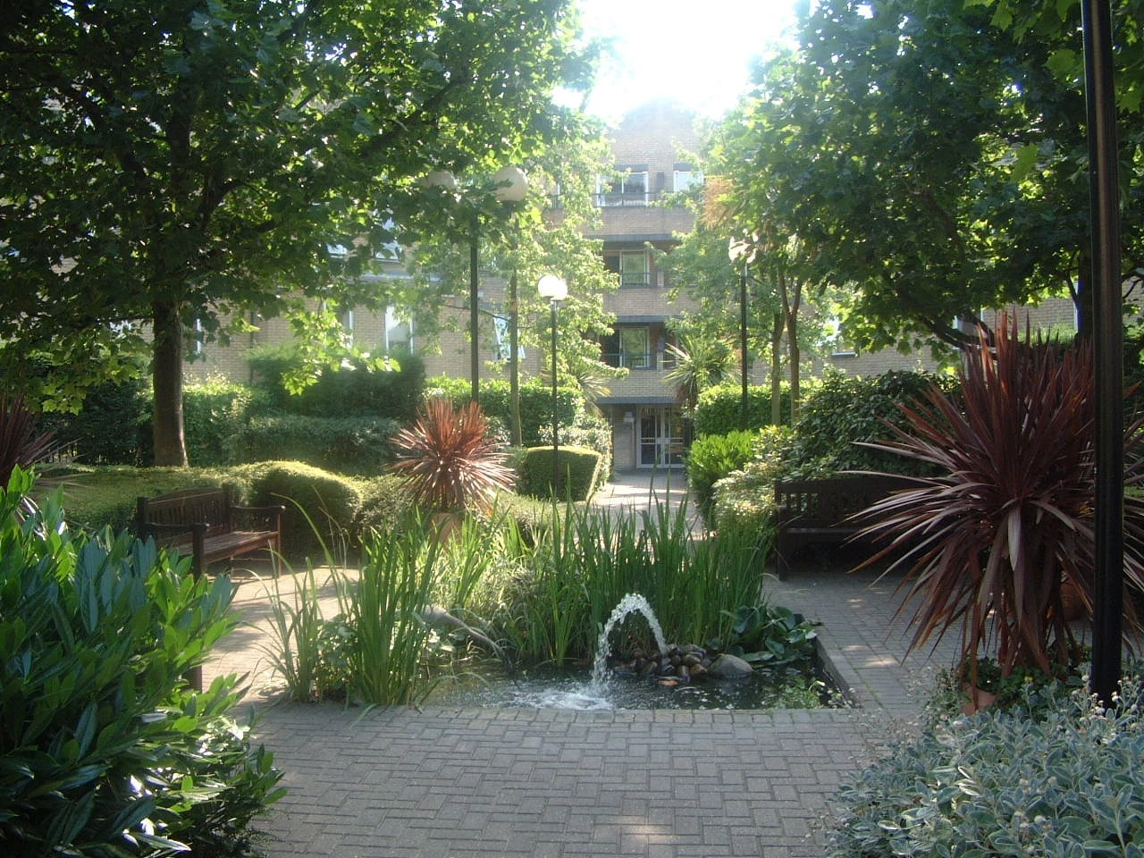 Photo 5