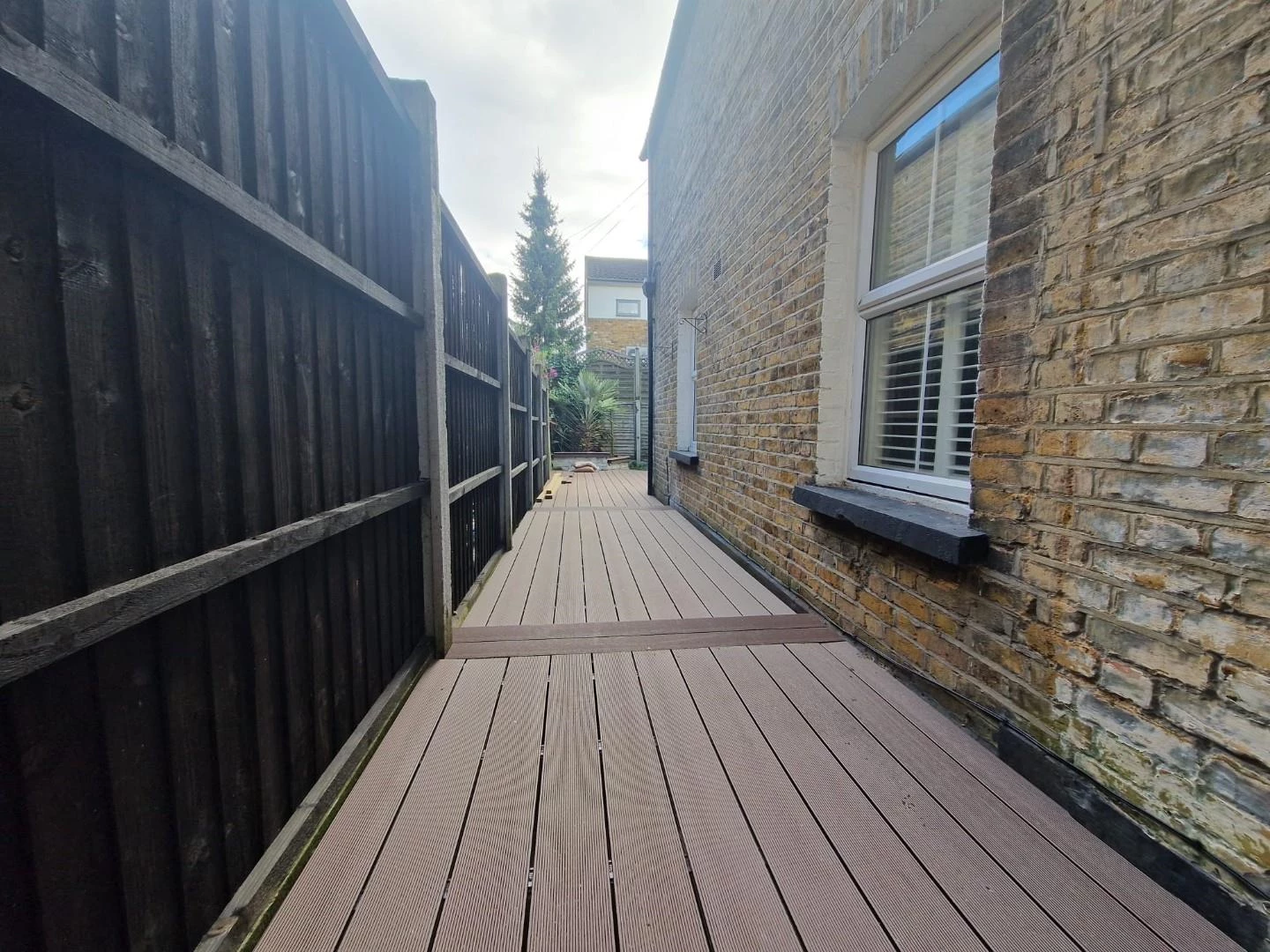 alley wayu.JPG