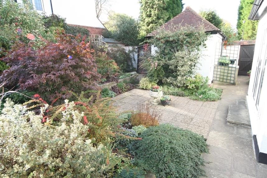 Photo 11